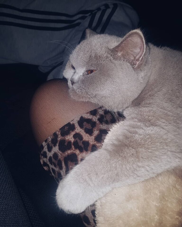 Sweetie