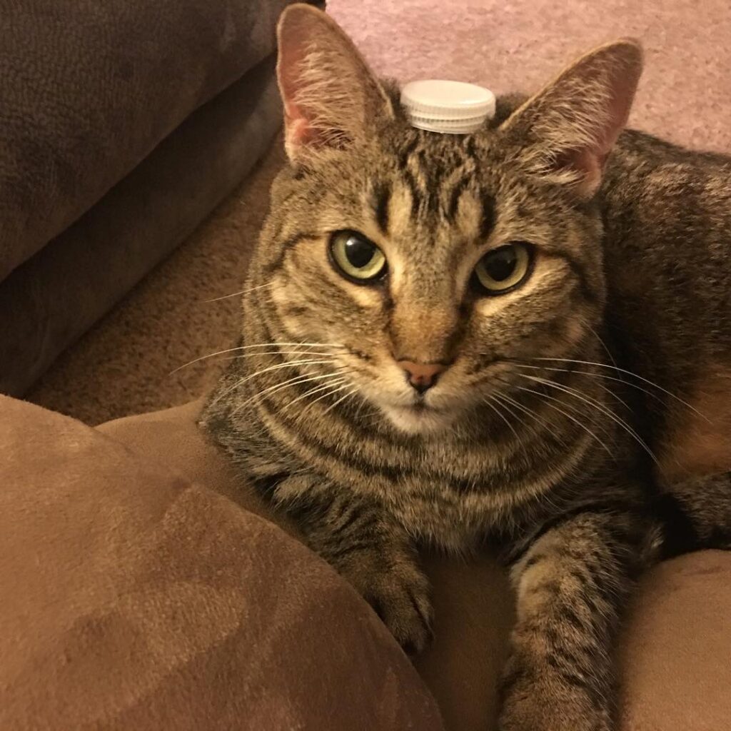 This is what focus looks like.