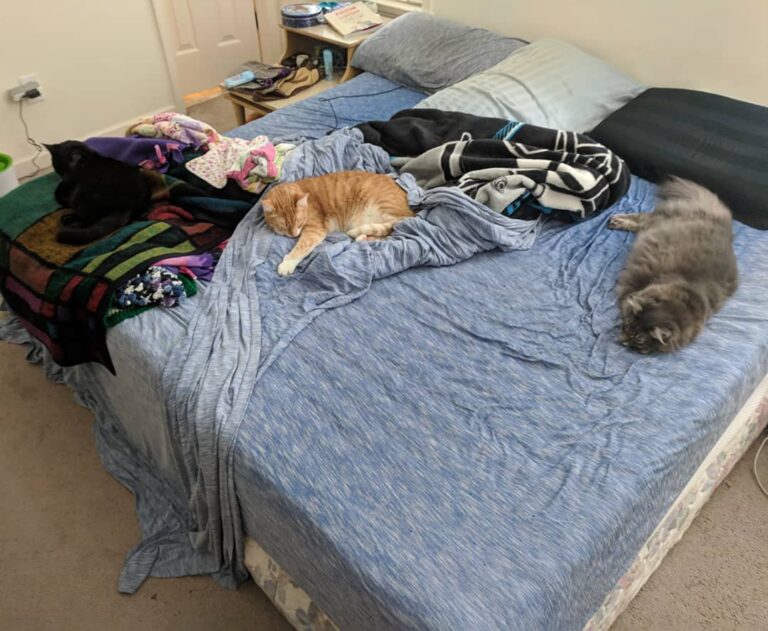 Today’s plans for : nap.