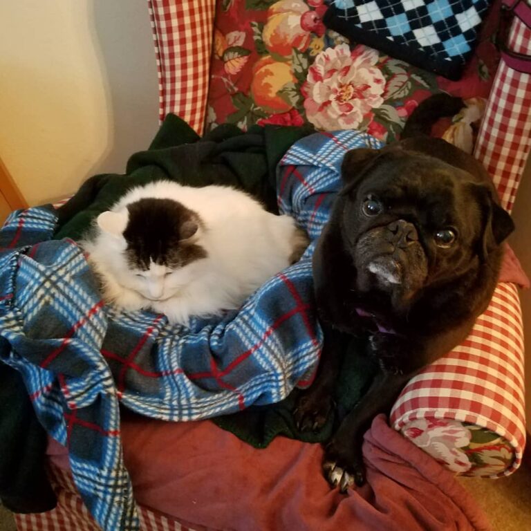 What do you do when someone else is in your bed