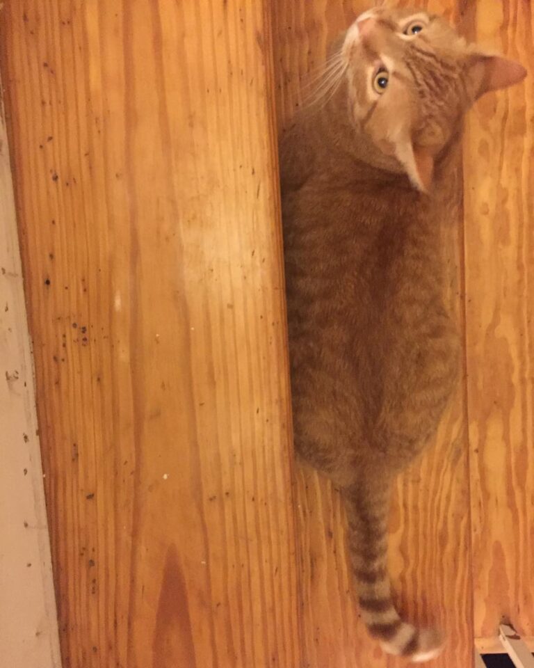 Where’s lunchbox?!