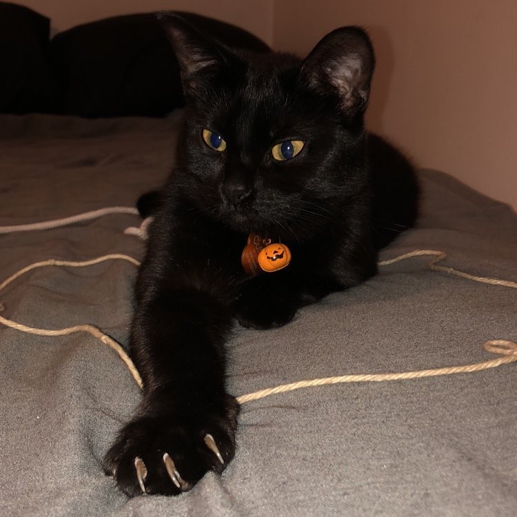 Defending her string