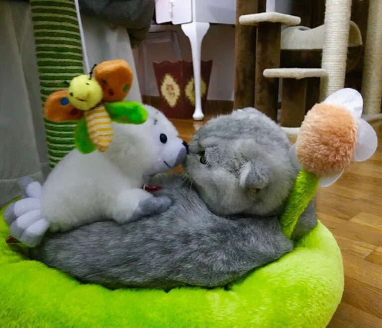 Me and my animal friend!!