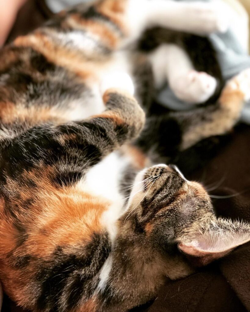 Wish i could nap like