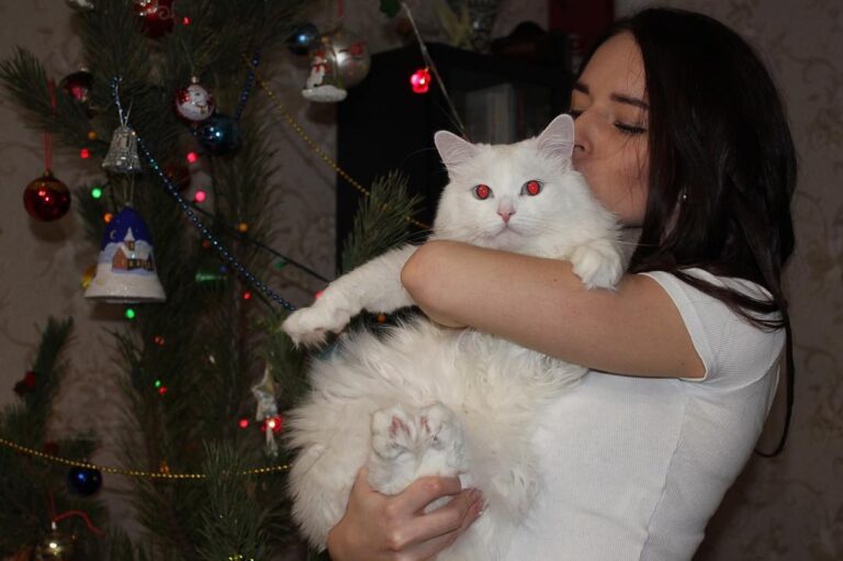 Do Cats Actually Love Their Owners?
