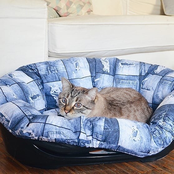 . تشک با تخت پلاستیکی فرپلاست FERPLAST SOFA BED . پت شاپ فلامینگو