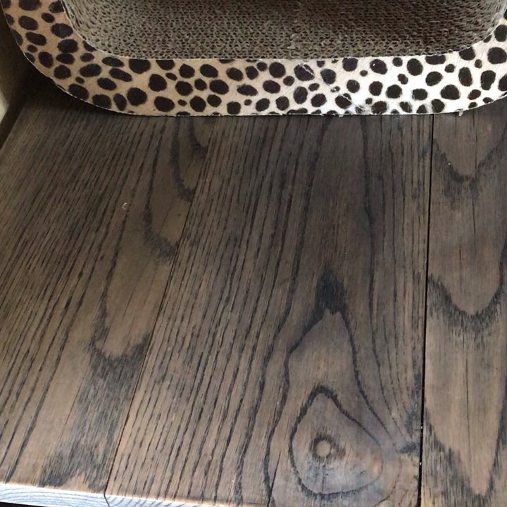 愛が止まらない When l called my cat’s name , she rushed to me.