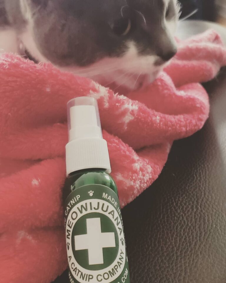 A little catnip for the kitty! Meow!