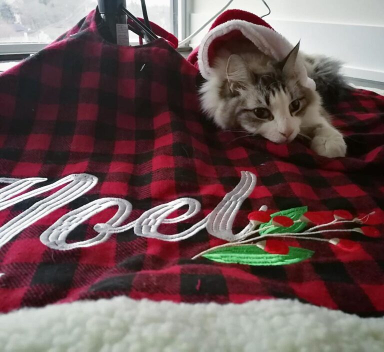 A little late, but we hope everypawdy enjoyed their holidays and had