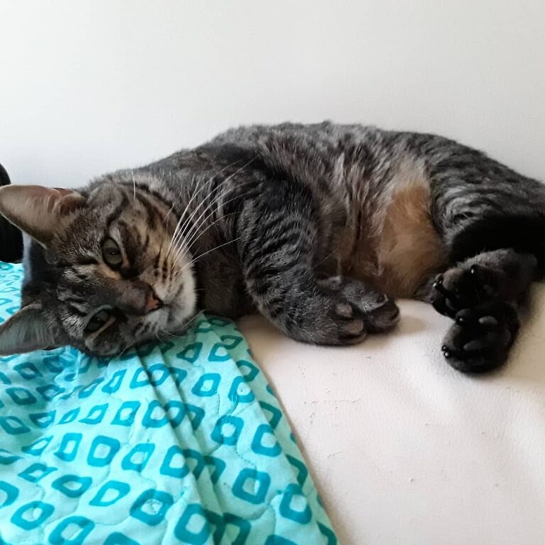 Awake from a