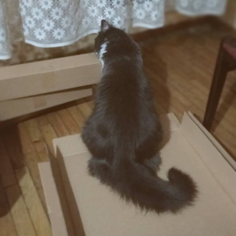 Boxes? Boxes!