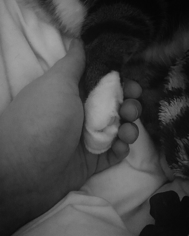 Cat mum life . The only way he will fall asleep