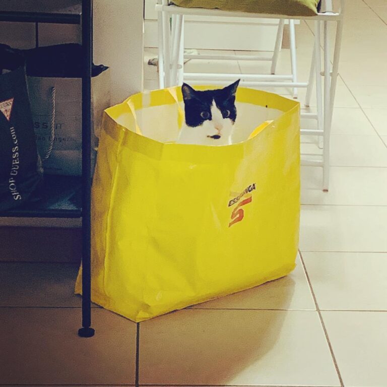 Ciao io sono Tabù e il mio supermercato preferito è l’Esselunga anche
