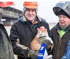 FunnyCatSite