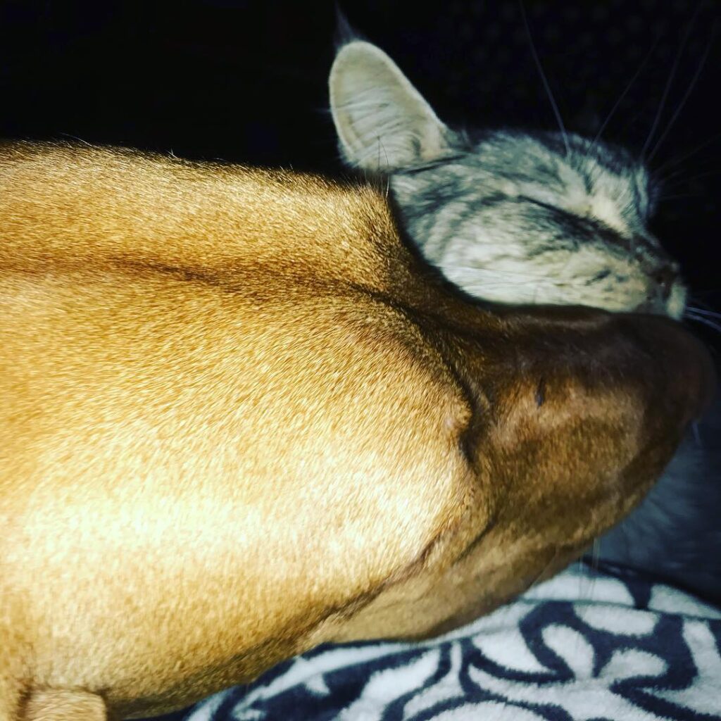Cuddle time !!