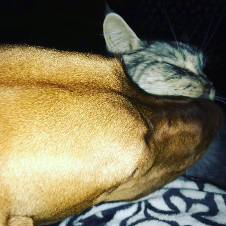Cuddle time !!