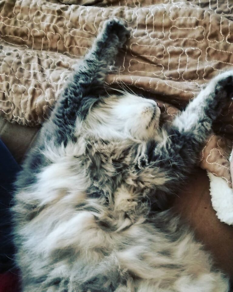 Current mood