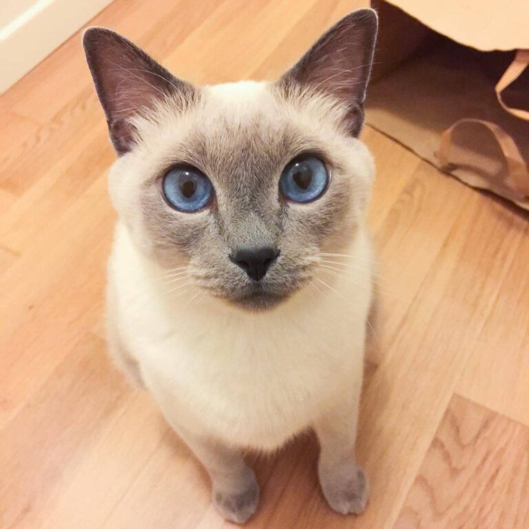 Did you say something? [Swipe to see more: what’s your favourite