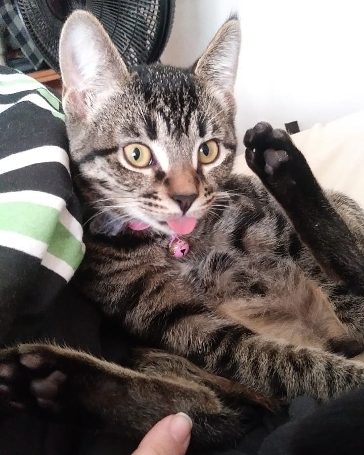 Durp face. I love her so dang much.