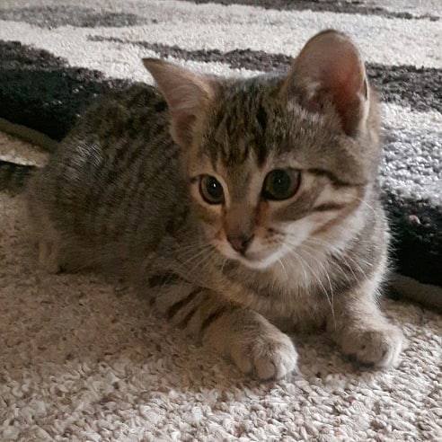 Enjoying some playtime with sis