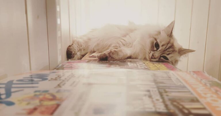 Favourite spot