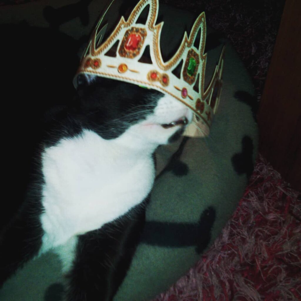 Felices reyes!!!! Como os habéis portado? Botines bien a ratos!!