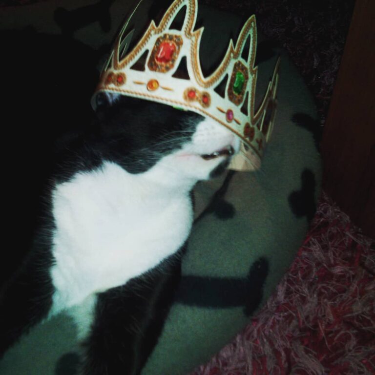 Felices reyes!!!! Como os habéis portado? Botines bien a ratos!!