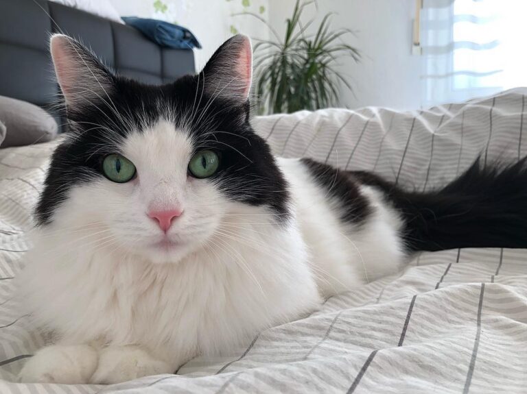 First weekend in this year … i totally enjoy it hope every pawty