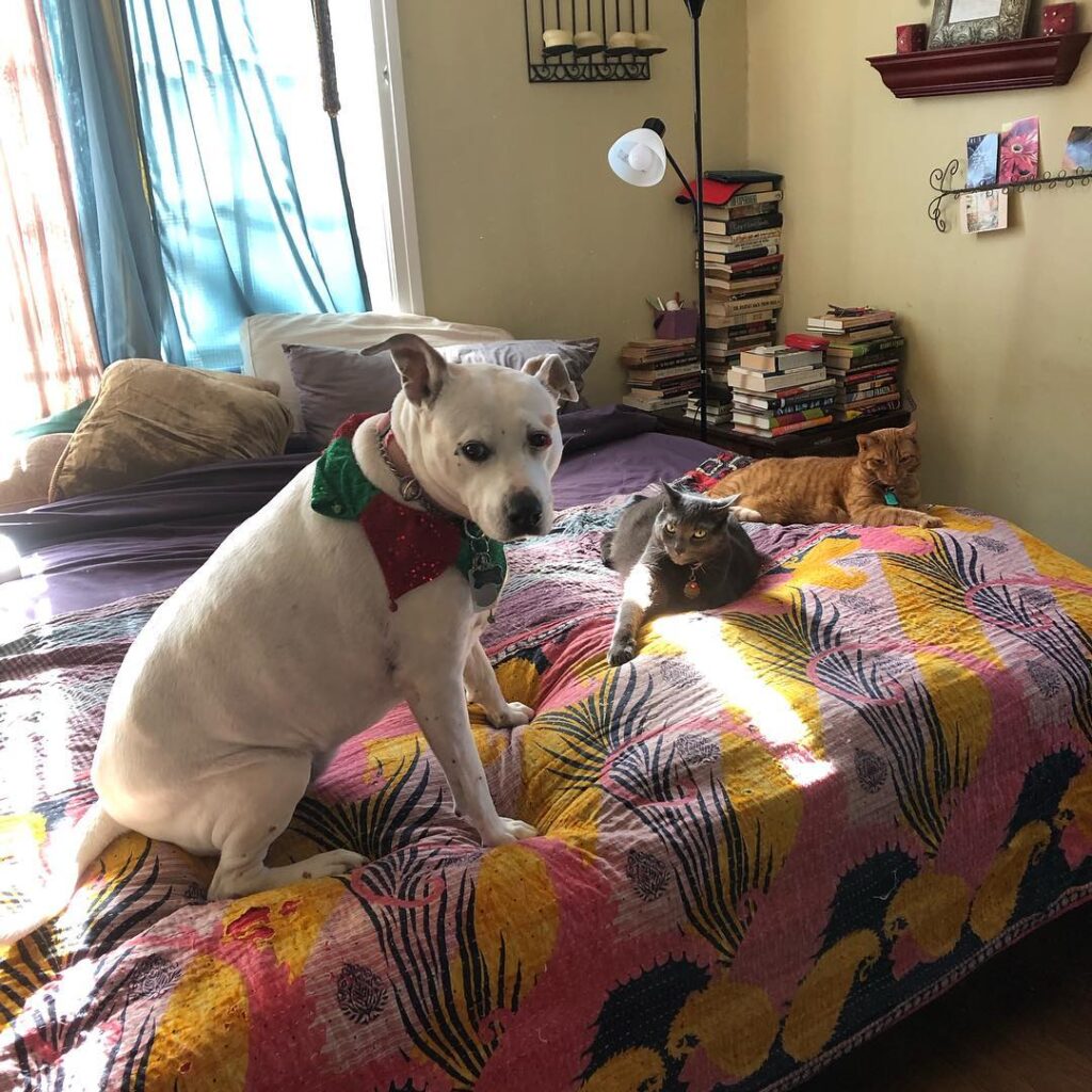 Frens.