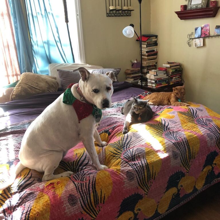 Frens.
