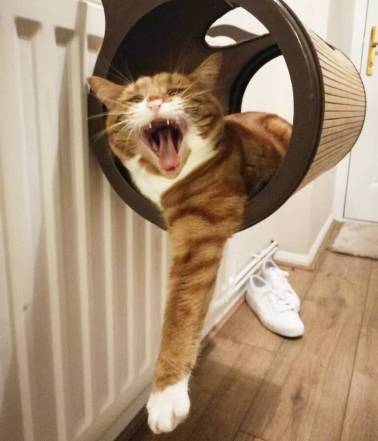 …. GET OUT OF MY ROOM !!