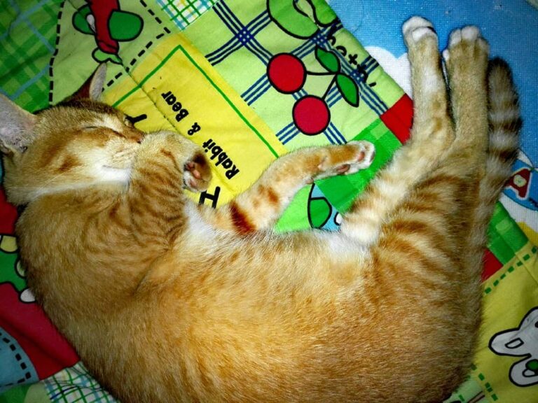 Have a goodnight …. #