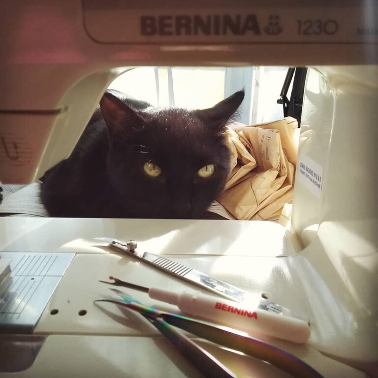 He enjoys hanging out behind the sewing machine… Crazy kitty. . . .