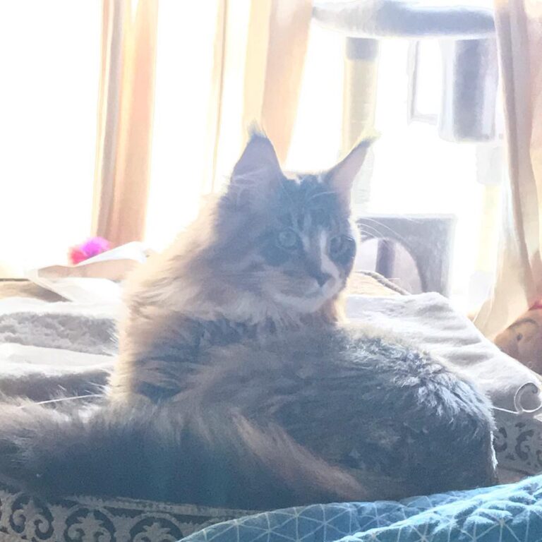 He gets more handsome every day.