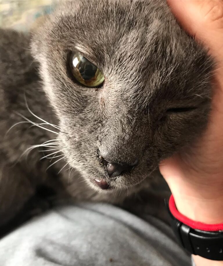 He might have missed me a little while I was gone. . . .