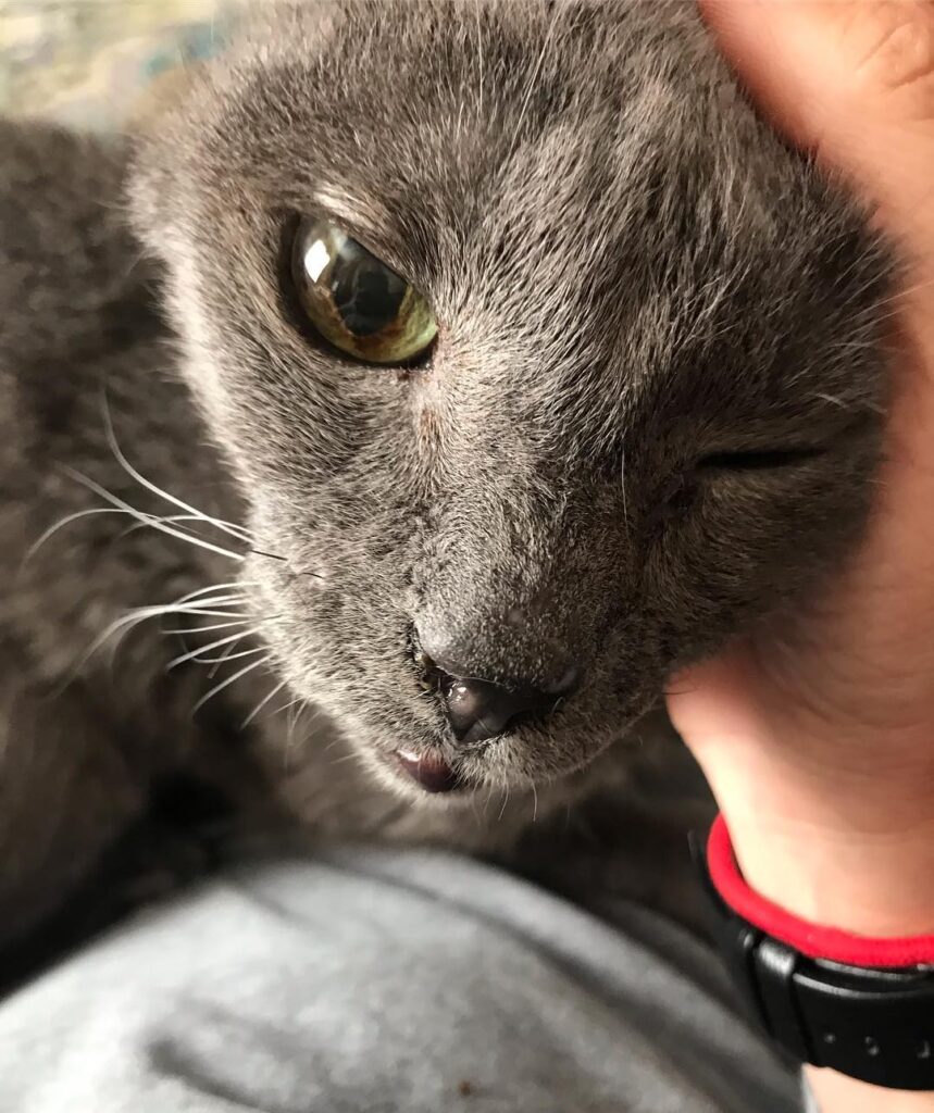 He might have missed me a little while I was gone. . . .