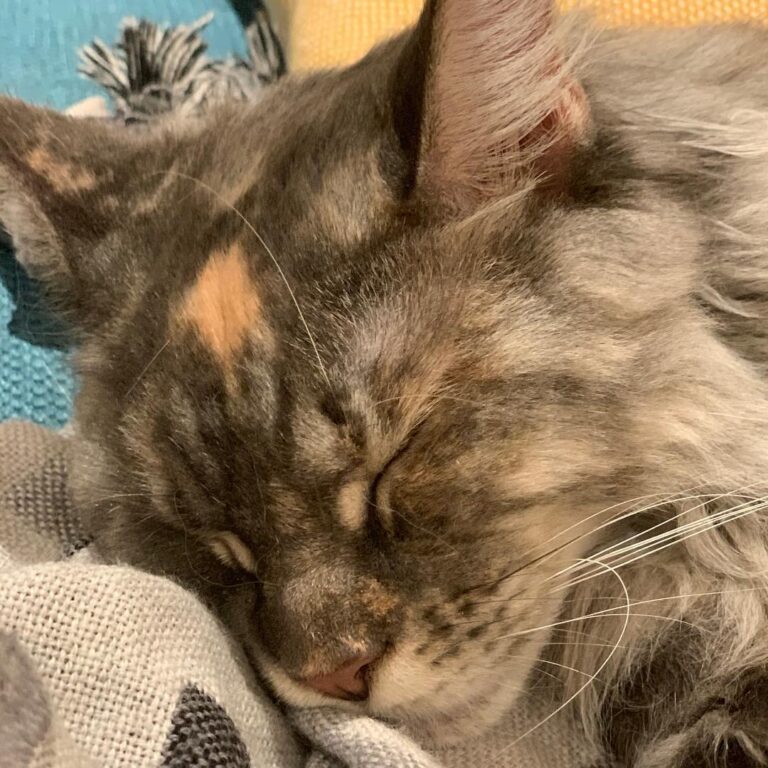 Hope you are all feeling warm and cozy