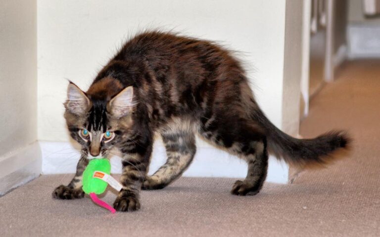 Hunter Mode Activated. • • • • • •