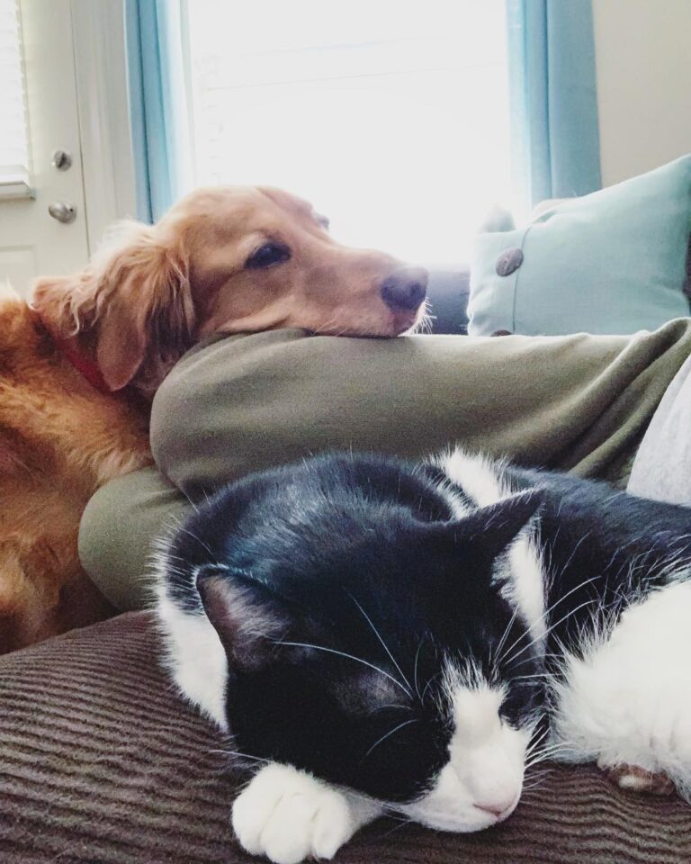 I don’t even know what personal space is anymore… and I’m totally