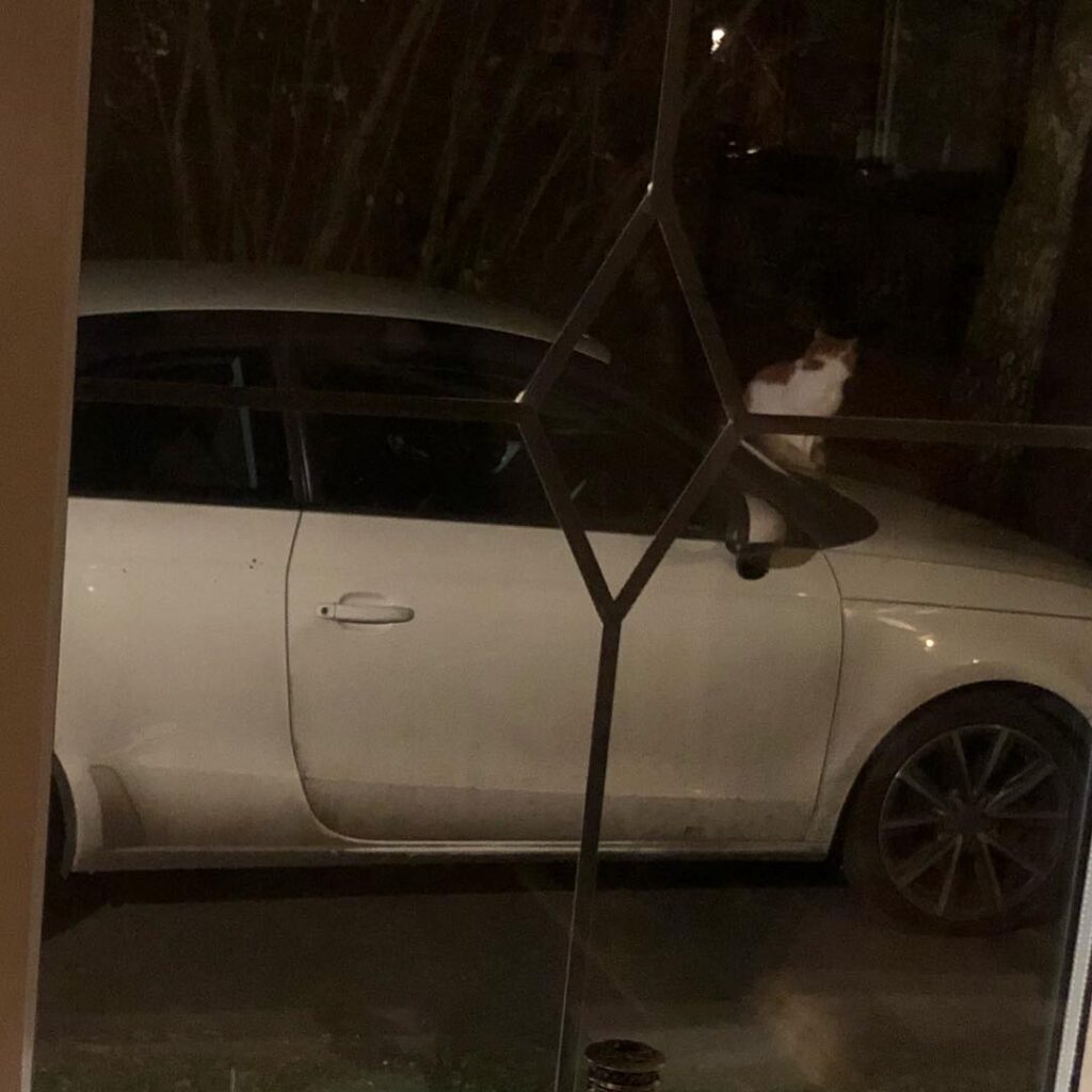 I have had to join in the fight against next parking in front of MY