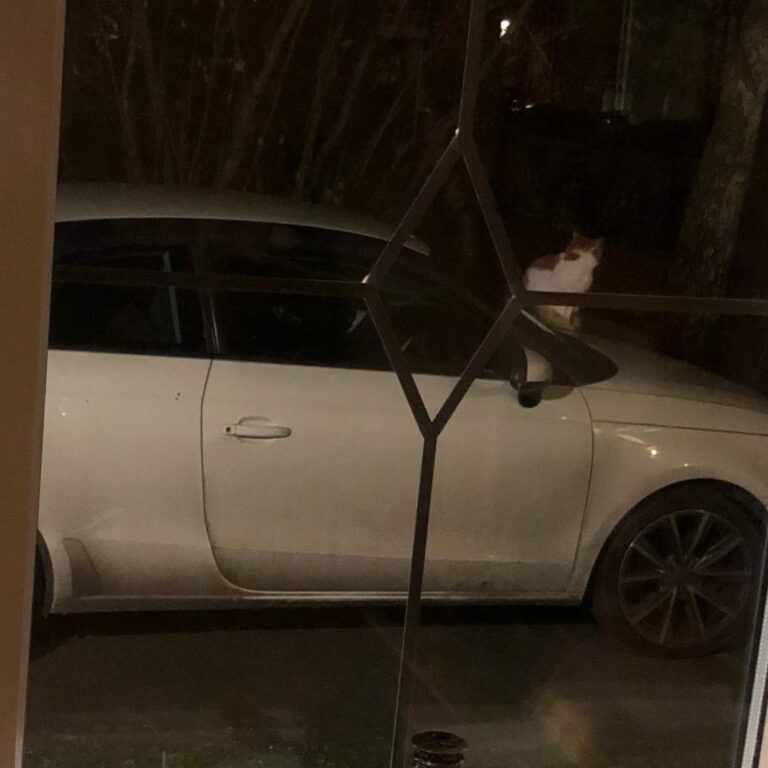 I have had to join in the fight against next parking in front of MY