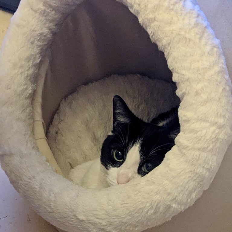 I’m being watched.