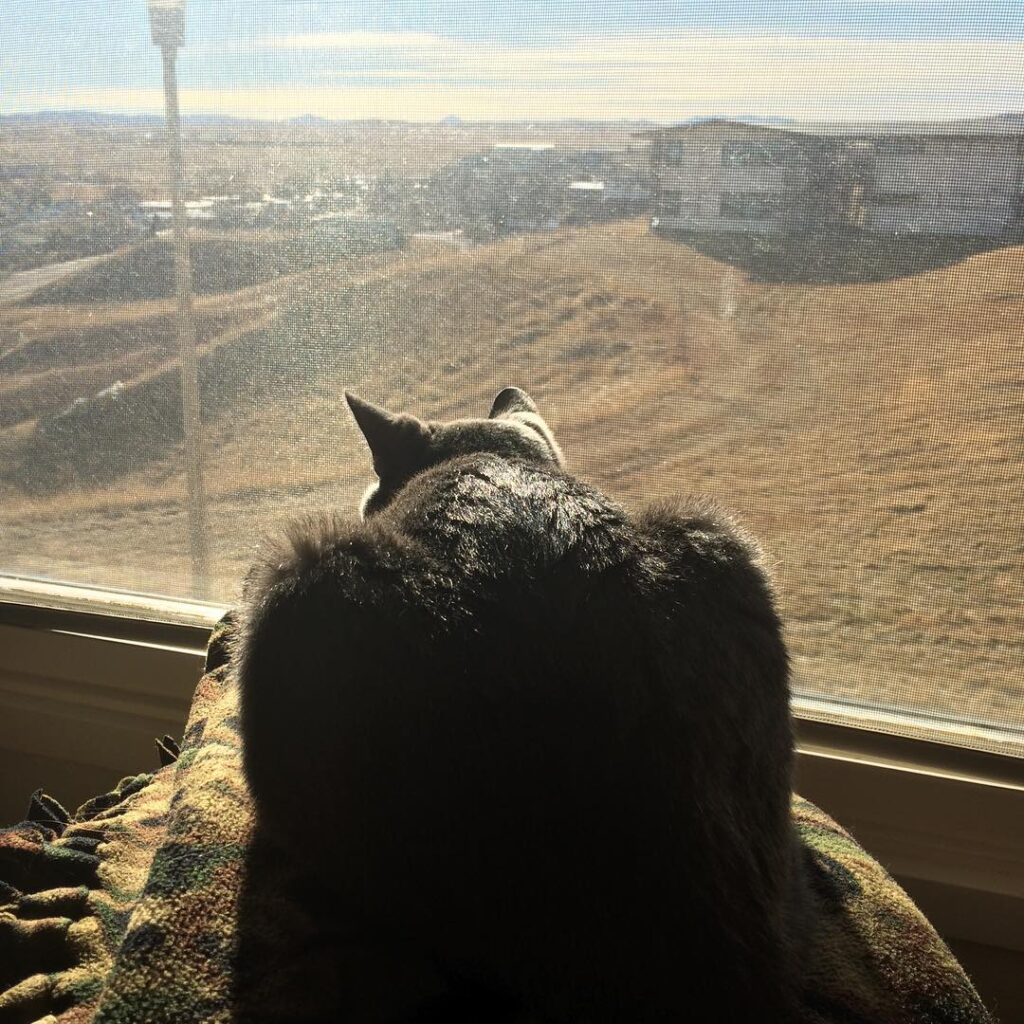 It’s no Alaska, but at least the bipedal servants have provided me