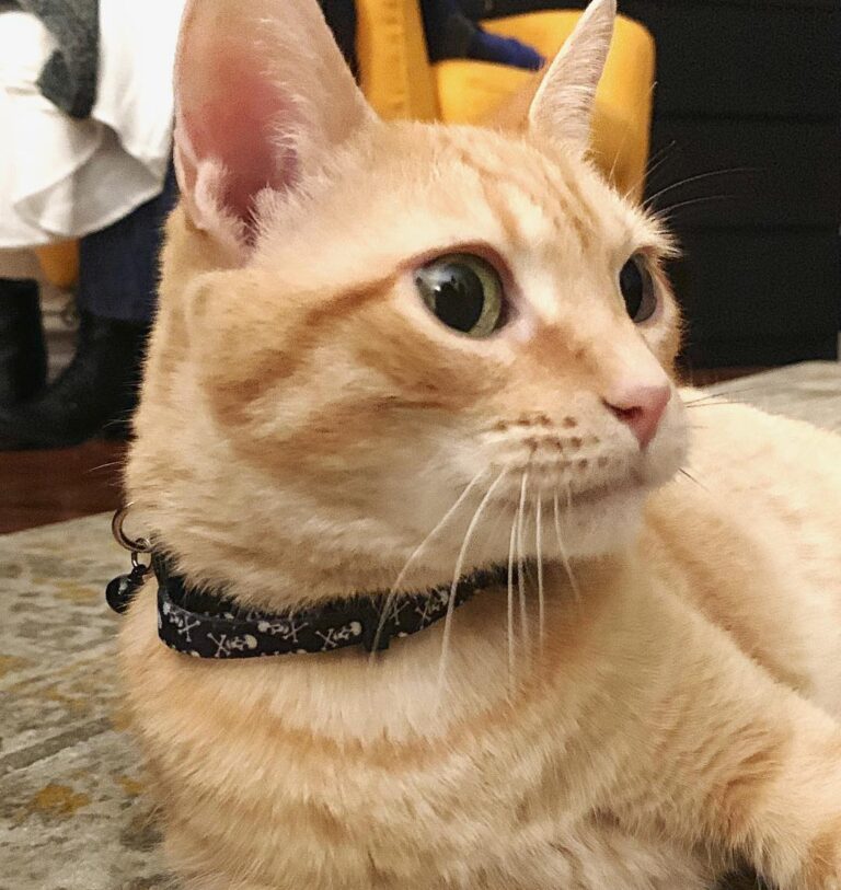 It’s not a phase, MOM . . . . # #
