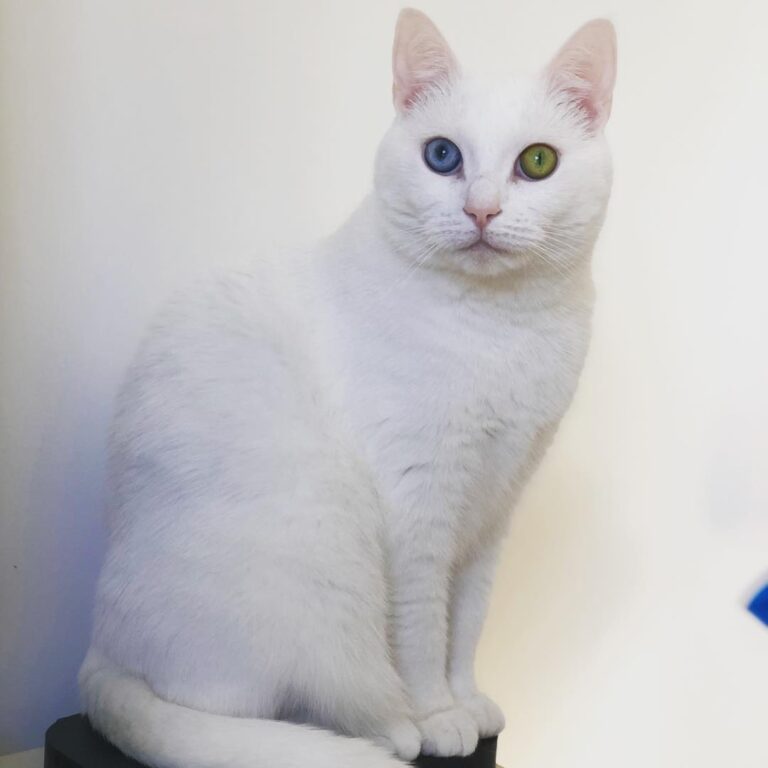 Just keeping my butt warm on the internet box whilst watching birds
