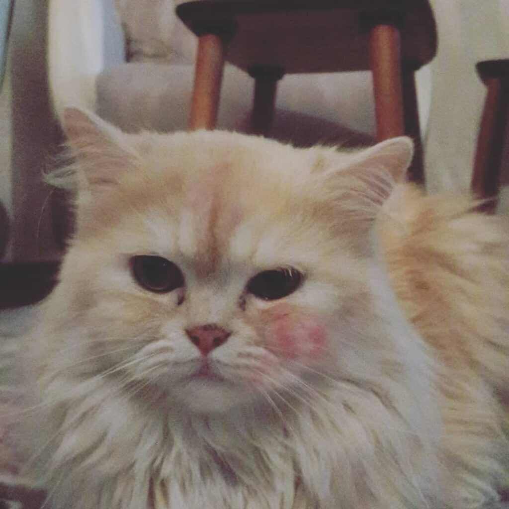 Kırmızı Ruj üylüdostlar #