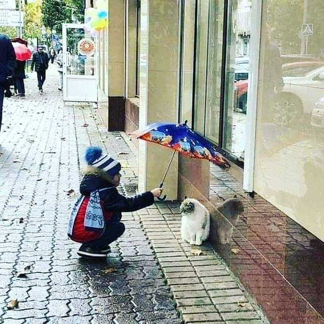 L AMORE… Osserviamo i gesti dei piccolini