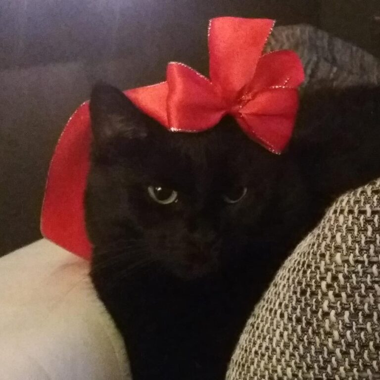 Look at mel being all festive