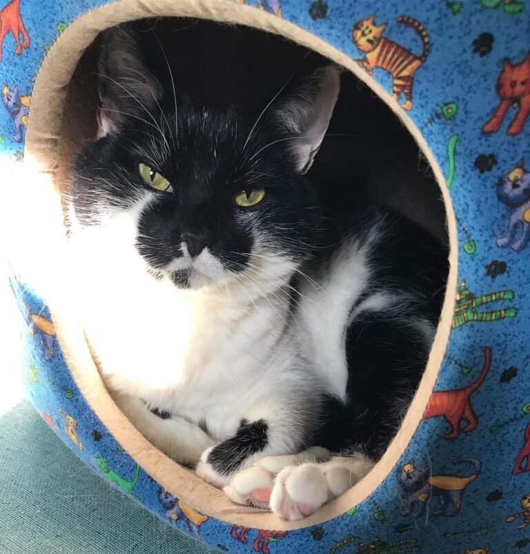 Marble toes!
