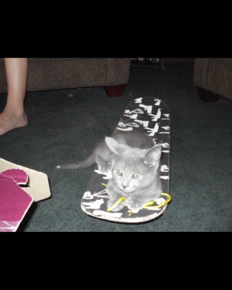 Me as a baby.